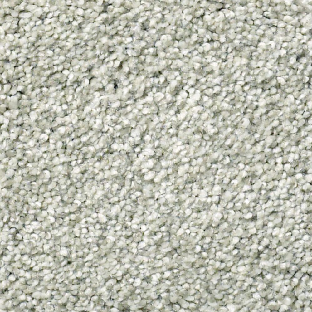 Shaw Find Your Comfort TT I Carpet in Willow Tree, , large