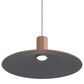 Golden Lighting Faroe 20" 1-Light LED Pendant in Coffee and Black, , large