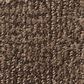Anderson Tuftex Luna Carpet in Fallen Timber, , large