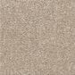 Shaw Easy Spirit III 12" Carpet in Dreamy, , large