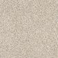 Shaw Abilene II Carpet in Pixels, , large