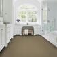 Karastan Stippled Carpet in Christian, , large
