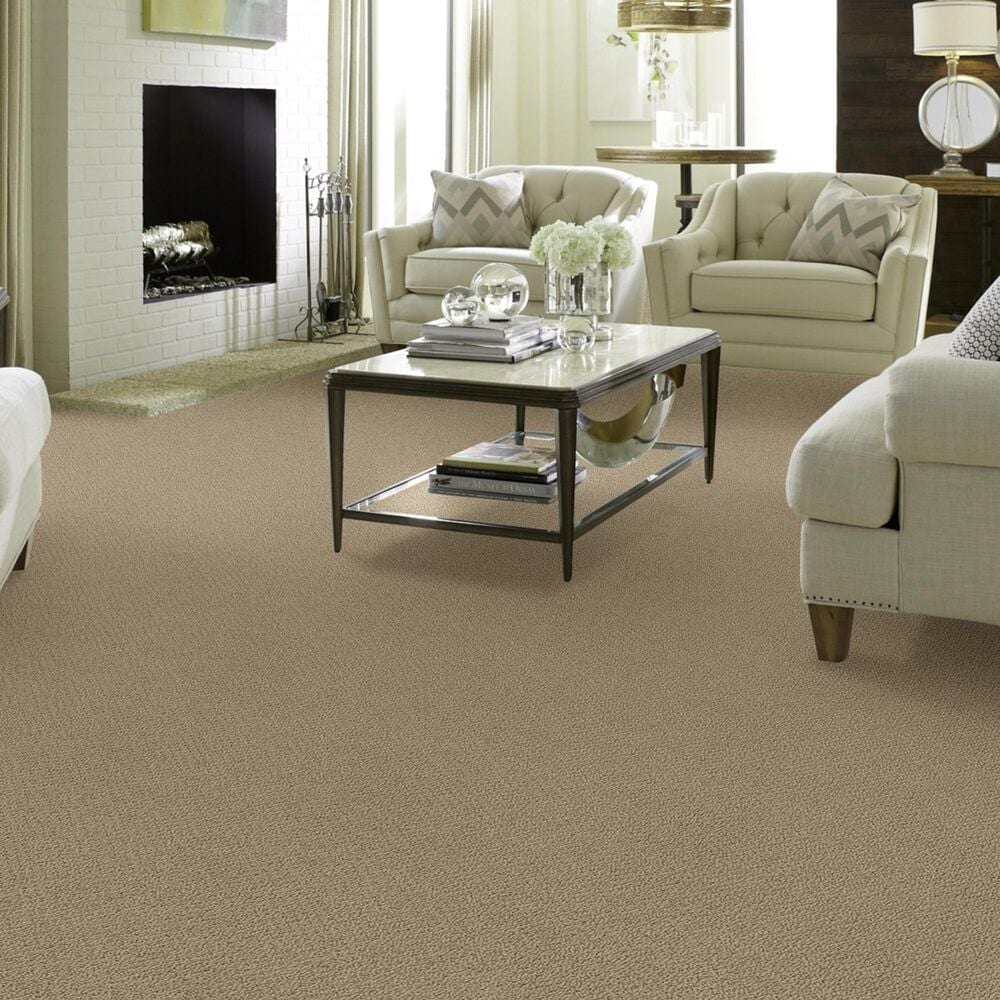 Shaw Detailed Statement Loop Carpet in Taffeta, , large