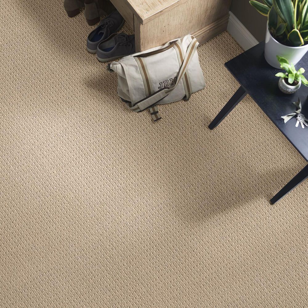 Anderson Tuftex Truly Delightful Carpet in Granola, , large