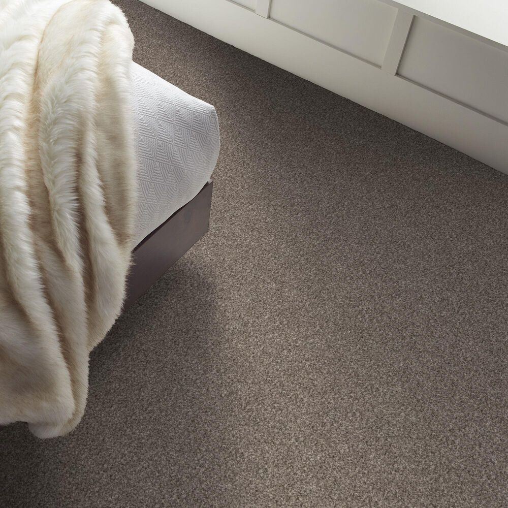 Shaw Yes You Can II Carpet in Soft Sense, , large