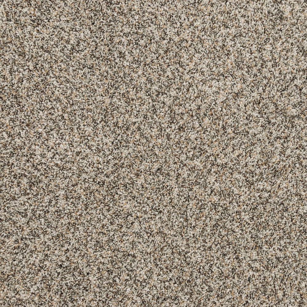 Mohawk Refined Retrievers II Carpet Highway, , large