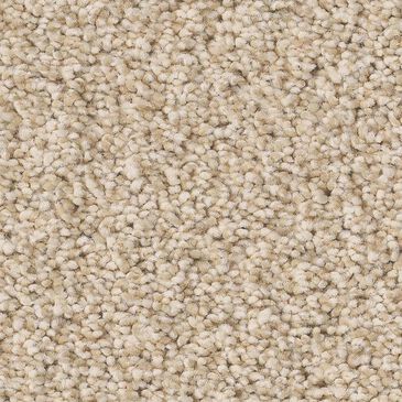 Anderson Tuftex Fabulous Carpet in Risotto, , large