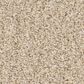 Anderson Tuftex Fabulous Carpet in Risotto, , large