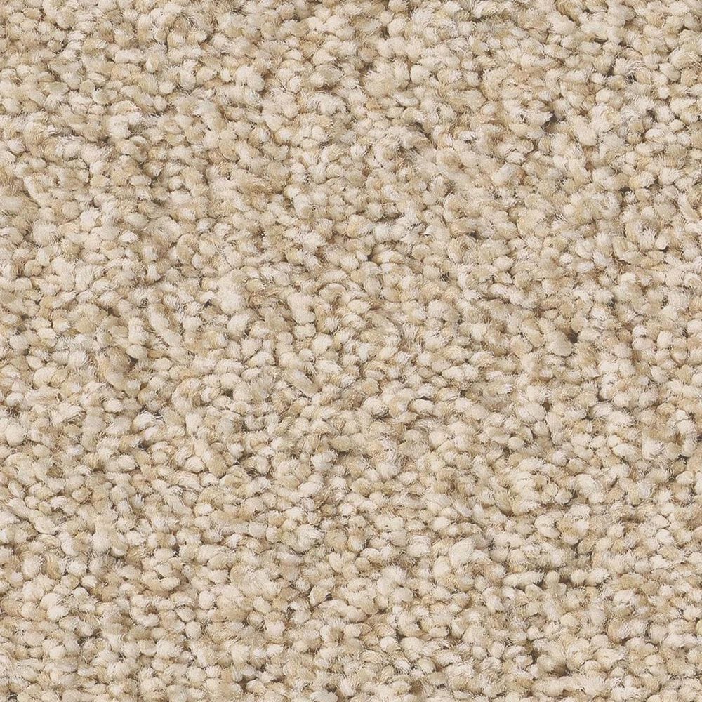 Anderson Tuftex Fabulous Carpet in Risotto, , large