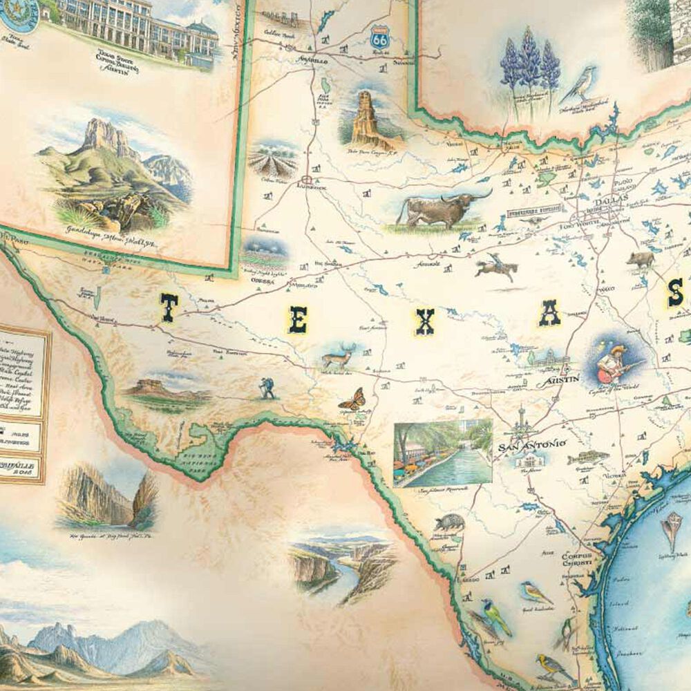 Xplorer Maps Texas Map Pouch Tote Bag in Multicolor, , large