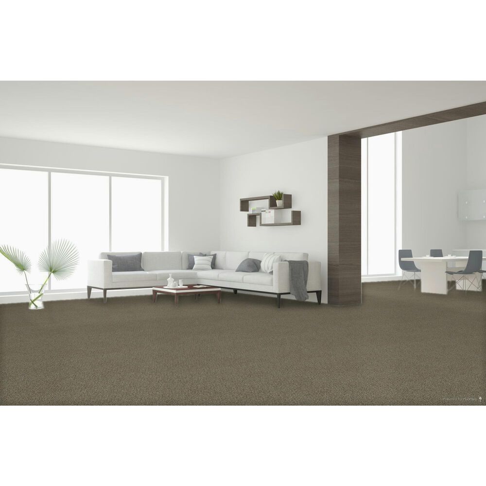 Dream Weaver Clearwater II Carpet in Toasted Oat, , large