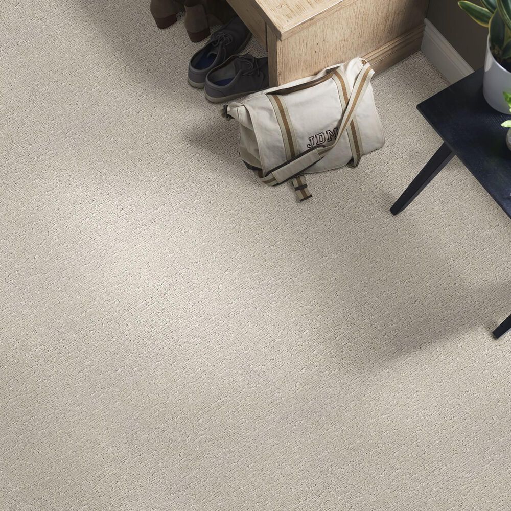 Anderson Tuftex Contour Carpet in Gentle Gray, , large