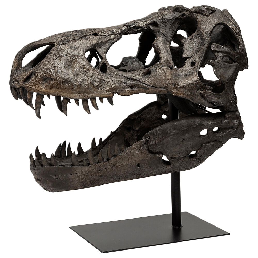 Mercana Lagrane Tyrannosaurus Skull, , large