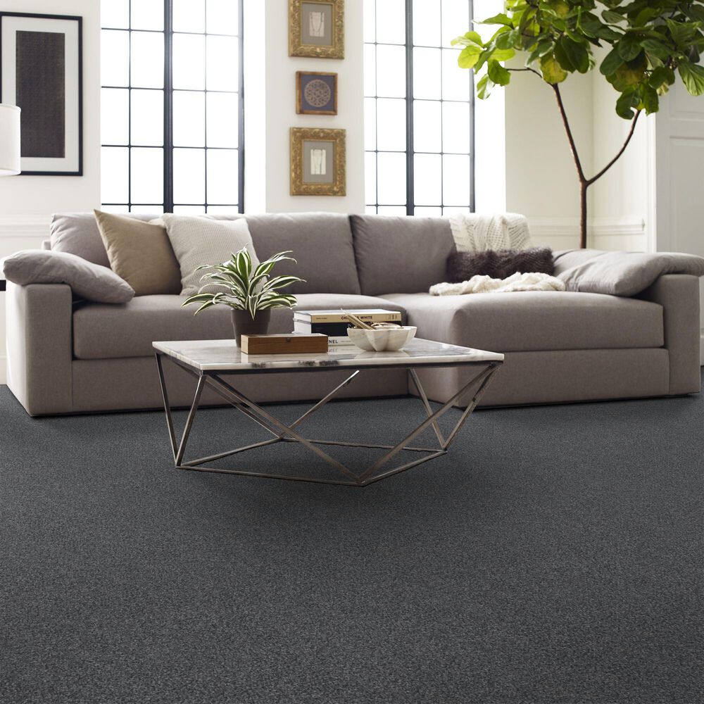 Shaw Yes You Can II Carpet in Refined, , large