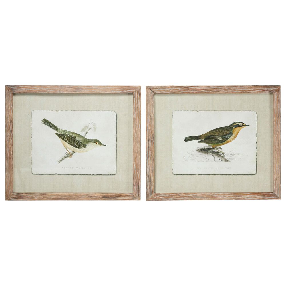 Maple and Jade 22&quot; x 27&quot; Birds Framed Wall Art in Green and White &#40;Set of 2&#41;, , large