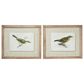 Maple and Jade 22" x 27" Birds Framed Wall Art in Green and White (Set of 2), , large