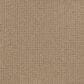 Karastan Infinite Treasure Carpet in Ancient Coin, , large
