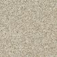 Mohawk EverStrand Apollo II Carpet in Mineral Taupe, , large