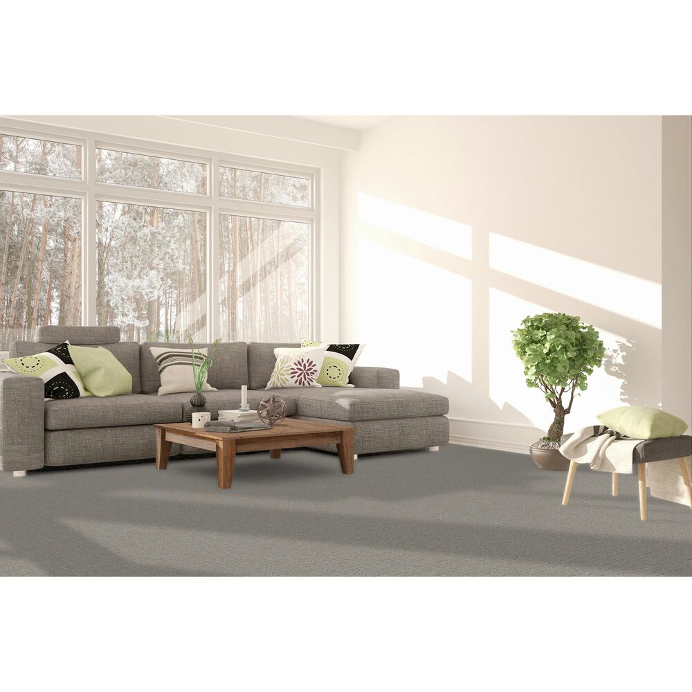 Dream Weaver Natural Attraction Carpet in Tranquil, , large