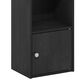 HOMLUX 3-Tier Shelf Bookcase with Door Storage Cabinet in Blackwood, , large