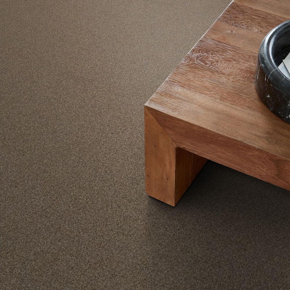 Anderson Tuftex Terra Nova Carpet in Joshua Tree, , large