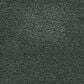 Masland Roadster Carpet in Engaging, , large