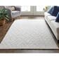 Feizy Redford 3"6" x 5"6" Beige Area Rug, , large
