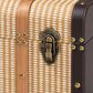 Baxton Studio Manton Storage Trunk with Hinged Top in Light, Dark Brown and Bronze, , large