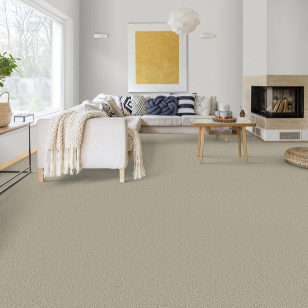 Dixie Home Main Force Carpet in Sandstone, , large