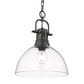 Golden Lighting Duncan 1-Light Pendant in Matte Black, , large