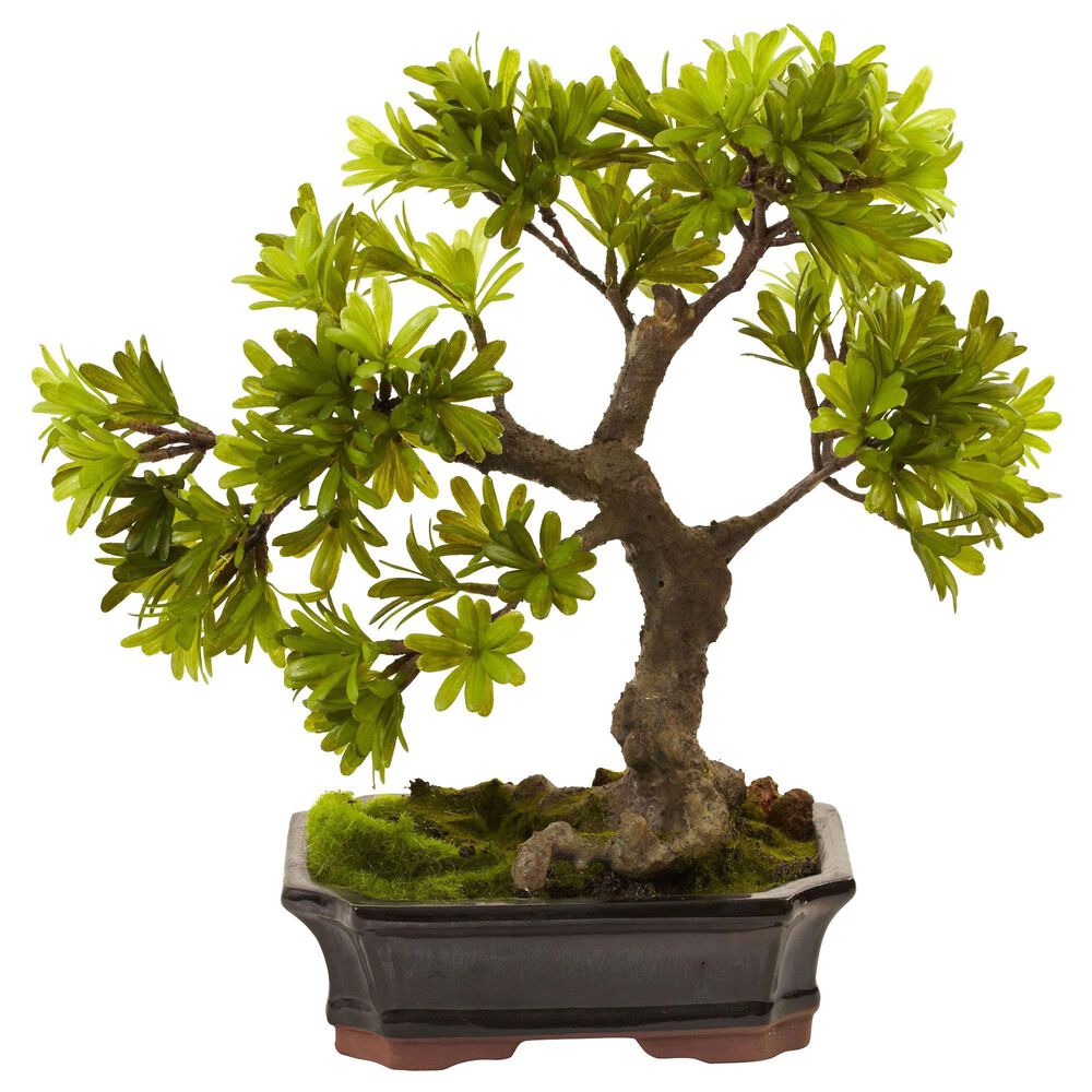 Nearly Natural Inc Podocarpus with Mossed Bonsai Planter in Green NFM
