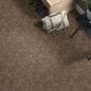 Anderson Tuftex Cares Free Spirit Carpet in Tumbleweed, , large