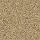 Shaw Tonal Comfort I Carpet in Hello Sunshine, , large