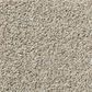 Shaw Simply the Best Momentum II Carpet in Driftwood, , large