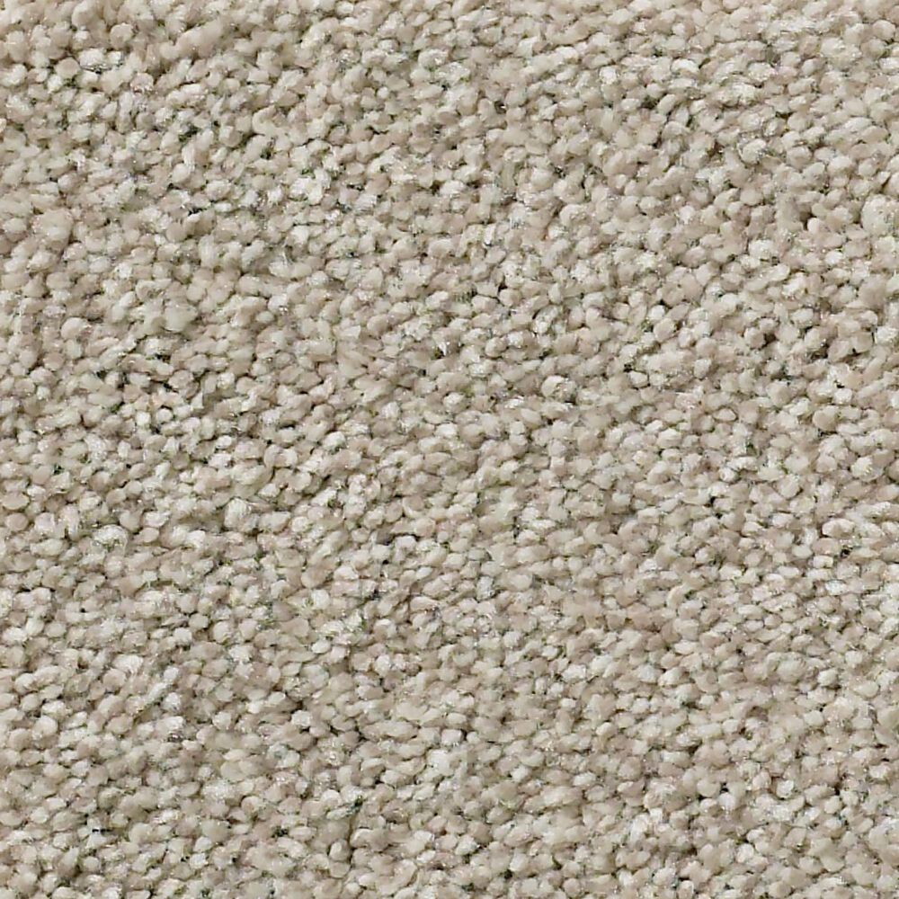Shaw Simply the Best Momentum II Carpet in Driftwood, , large