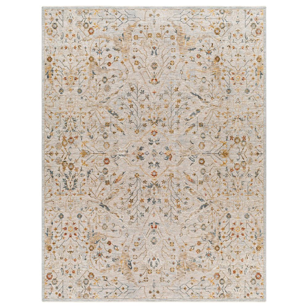 Surya Reina Light Gray, Denim, Cream, Tan, Light Brown, Rust, Mustard and Olive 7"10" x 10"2" Area Rug, , large