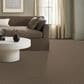 Anderson Tuftex Bossa Nova Carpet in Joshua Tree, , large