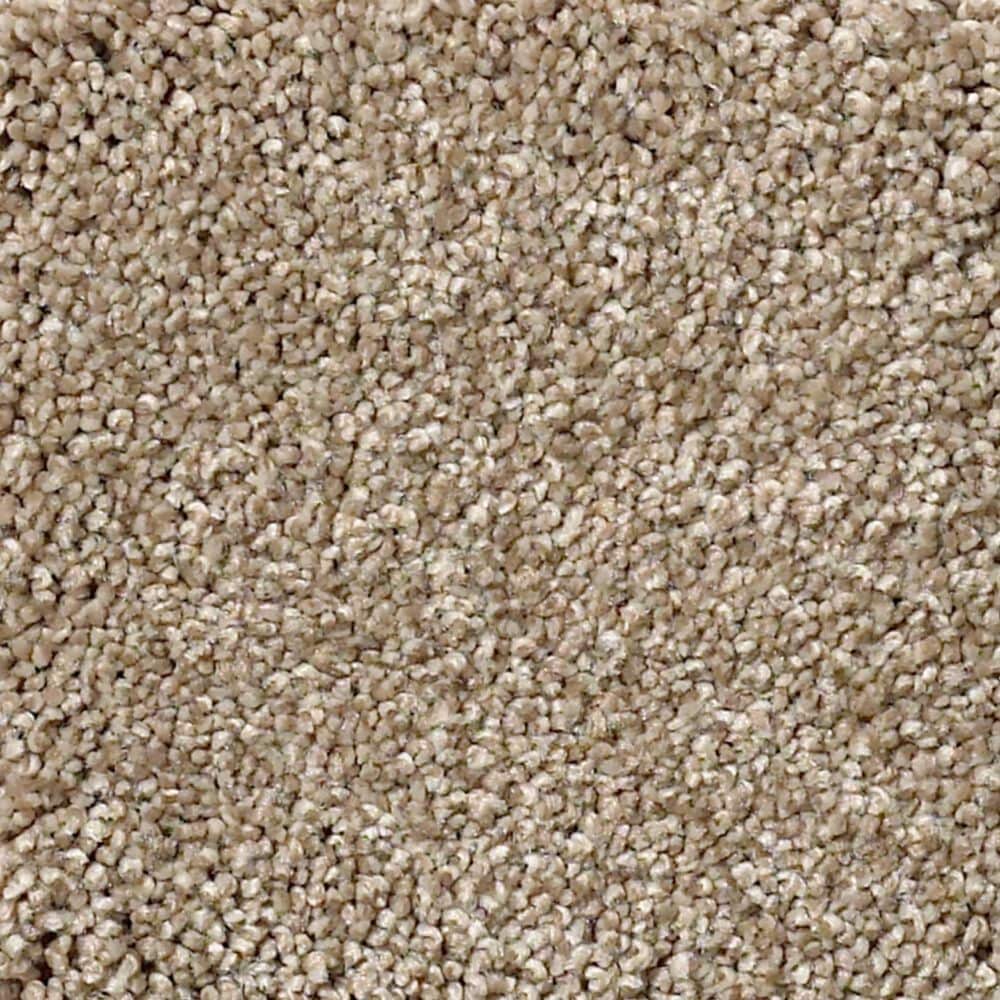 Shaw Your Comfort I Carpet in Camping Trip, , large