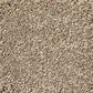 Shaw Your Comfort I Carpet in Camping Trip, , large