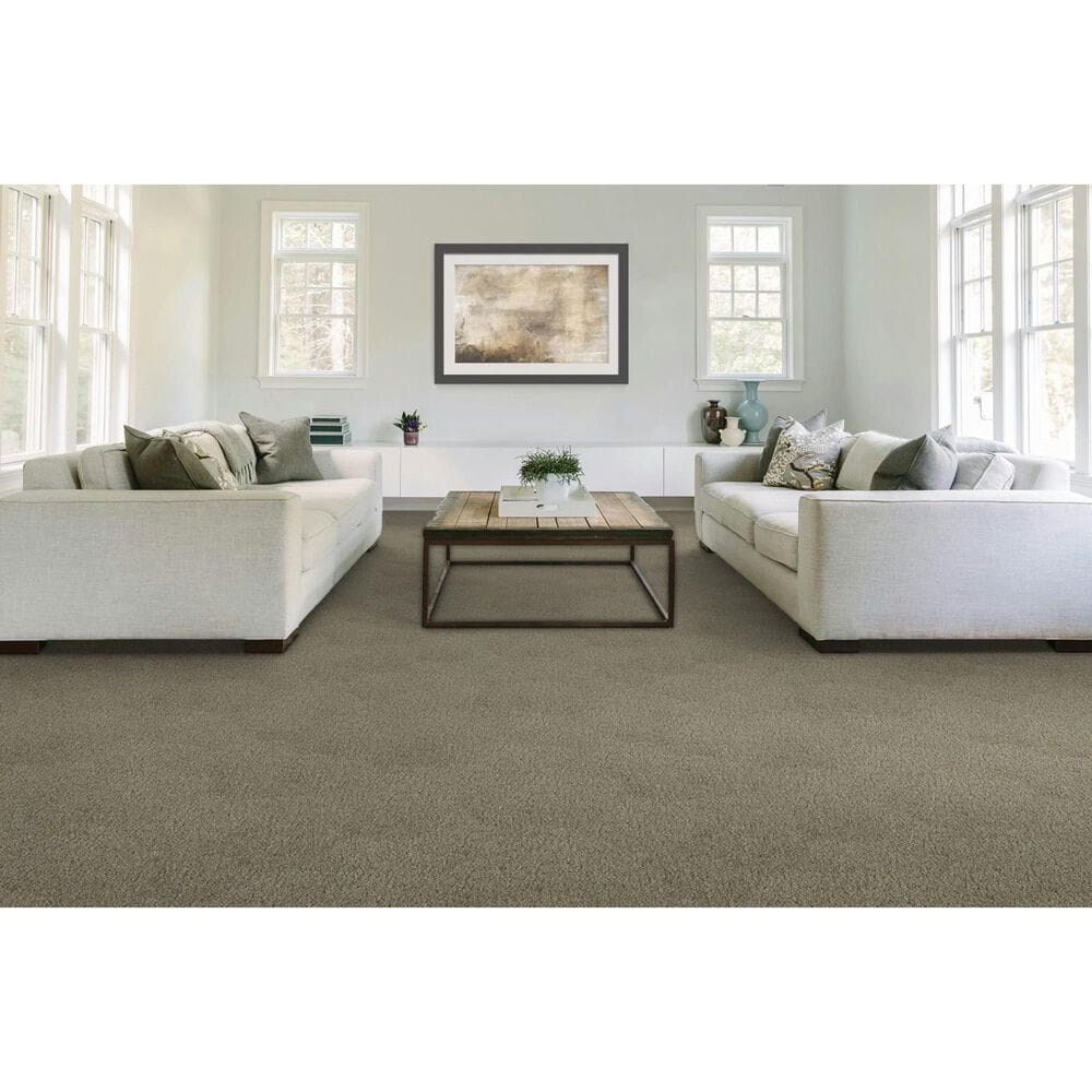 Mohawk Gentle Guardian lV Carpet in Rainstorm, , large