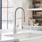 Blanco Rivana Semi Pro Kitchen Faucet in PVD Steel, , large