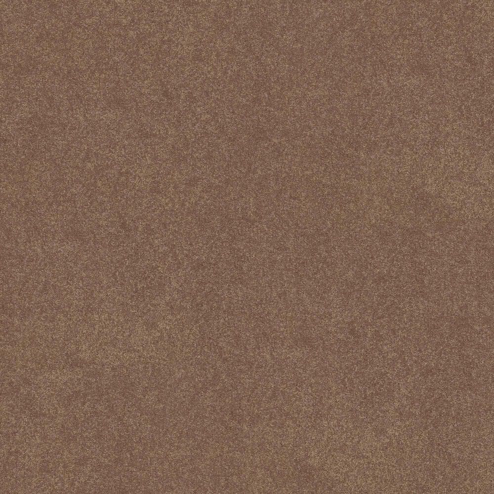 Shaw Easy Spirit II 12&#39; Carpet in Bungalow, , large