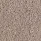 Anderson Tuftex Luxe Feel I Carpet in White Pine, , large