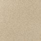 Karastan Victoria Peak II Carpet in Eads, , large