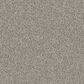 Godfrey-Hirst Candor Carpet in Whimsy, , large