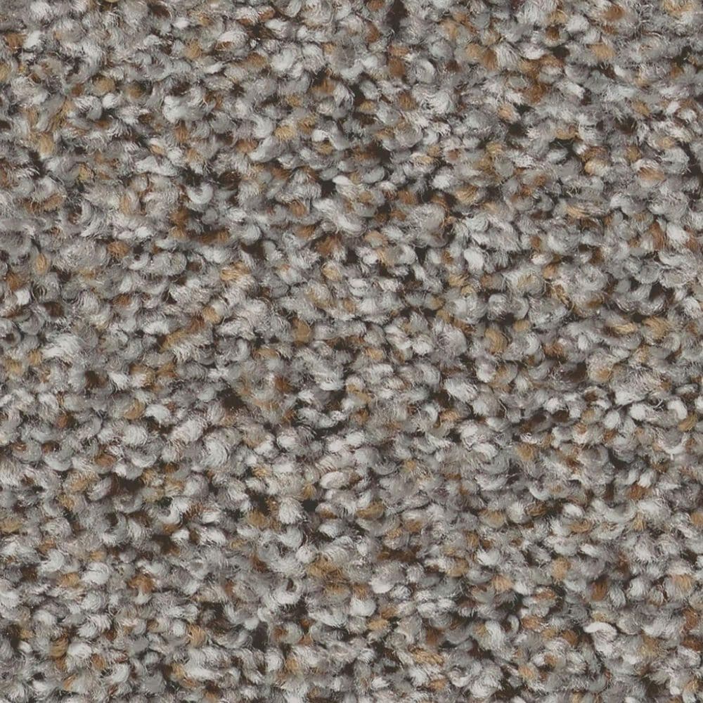 Shaw Abilene I Carpet in Powerful, , large