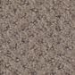 Shaw Austin Park Carpet in Open Canyon, , large