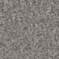 Shaw You Got This I Carpet in Vintage, , large