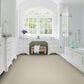 Karastan Stippled Carpet in Haute, , large