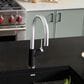 Blanco Urbena 1.5 GPM Pull-Down Kitchen Faucet in Chrome and Coal Black, , large
